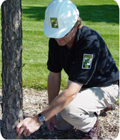 ARBORIST.jpg